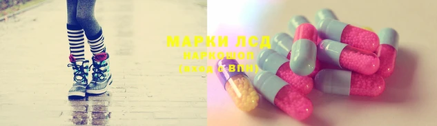 СК Алексин